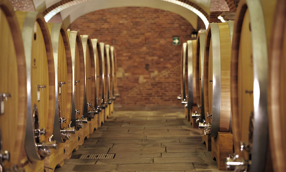 Cantine San Matteo: wine cellar